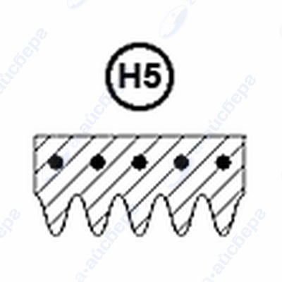 Ремень  278 Н5 1.11.000.202